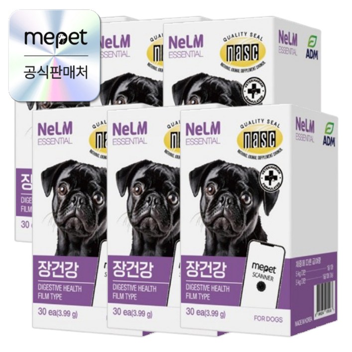 미펫 낼름 장건강 에센셜 필름형 영양제 180매 강아지 유산균 소화개선, 6개, 장건강유산균, 30회분