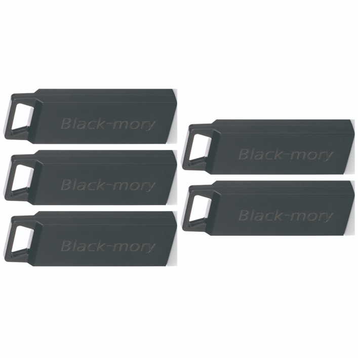TUI 투이 Blackmory 2.0 USB 메모리 5P 저장용량 및 패키지 선택 구매, 4GB, 5개