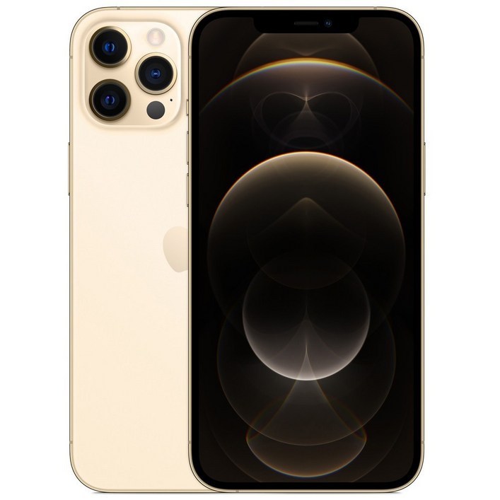 Apple 아이폰 12 Pro Max 자급제