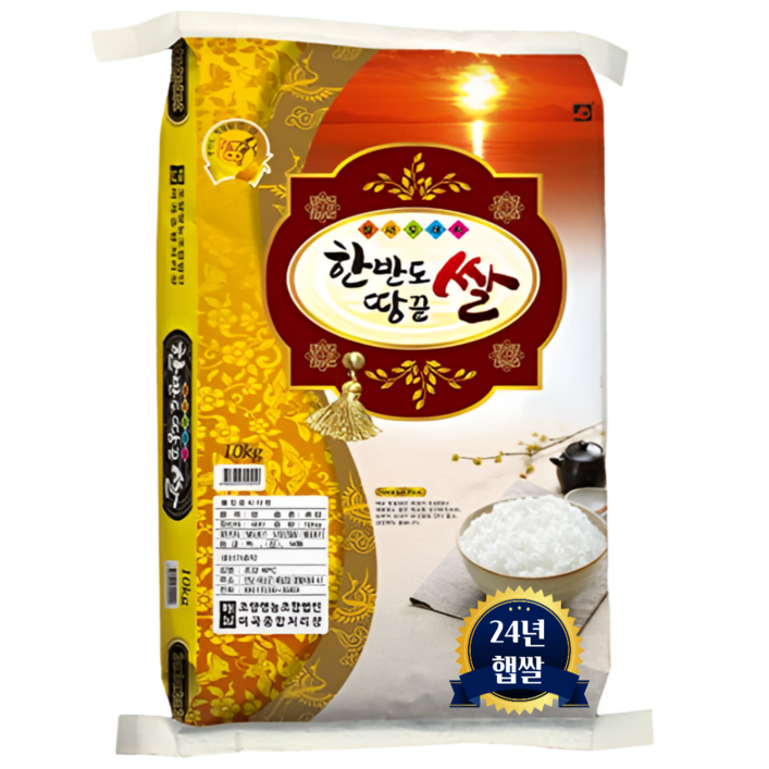 해남농산 당일도정 2024년산 해남쌀 한반도땅끝 쌀 백미 햅쌀, 상등급, 1개, 10kg