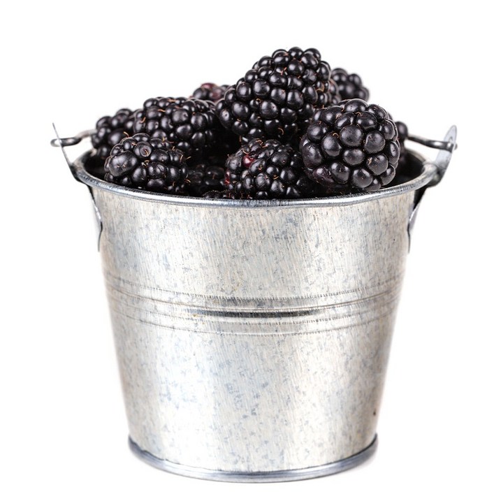 [억수로상회] 고창 산지직송 블랙베리(급냉/특품) 슈퍼복분자 대용량, 1개, 10kg