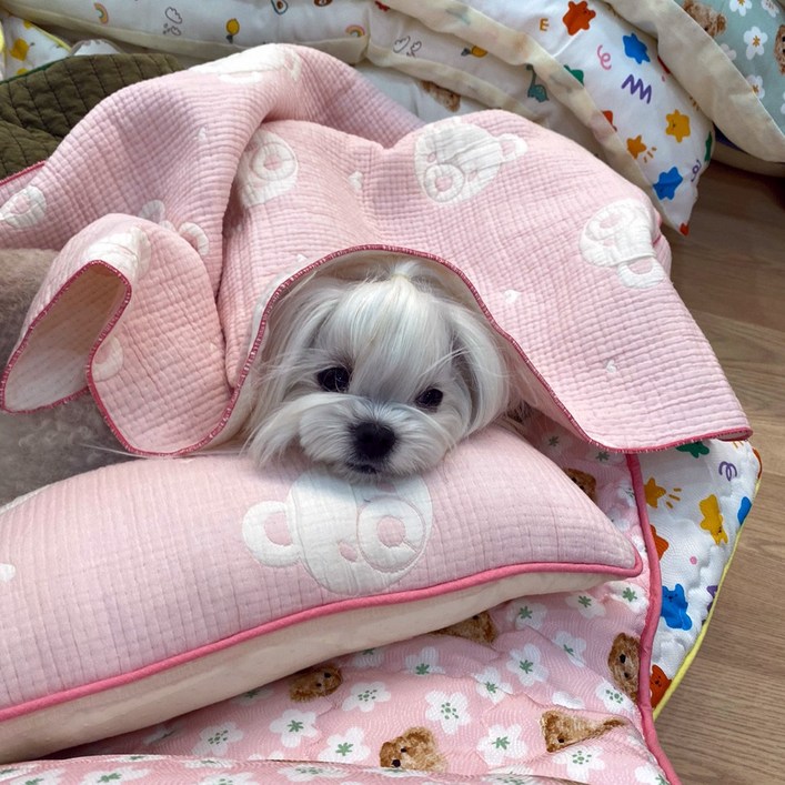 해피앤퍼피 시원한 강아지이불 20가지 디자인 강아지 고양이 여름 인견블랭킷 오가닉블랭킷 낮잠이불 담요, 푸푸핑크4중거즈