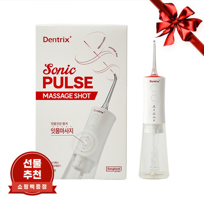 [쇼핑백증정] 동국제약 구강세정기 리뉴얼 덴트릭스 소닉펄스 마사지 샷 구강세정기, 워터치실, 치석제거, 스켈링