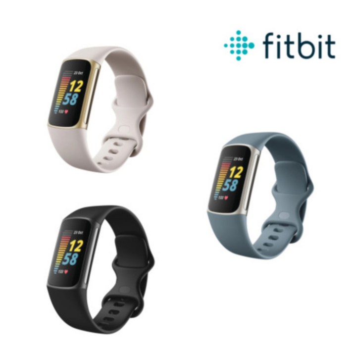 핏빗 차지 5 스마트워치 런닝워치 Fitbit Charge 5, 블랙그라파이트