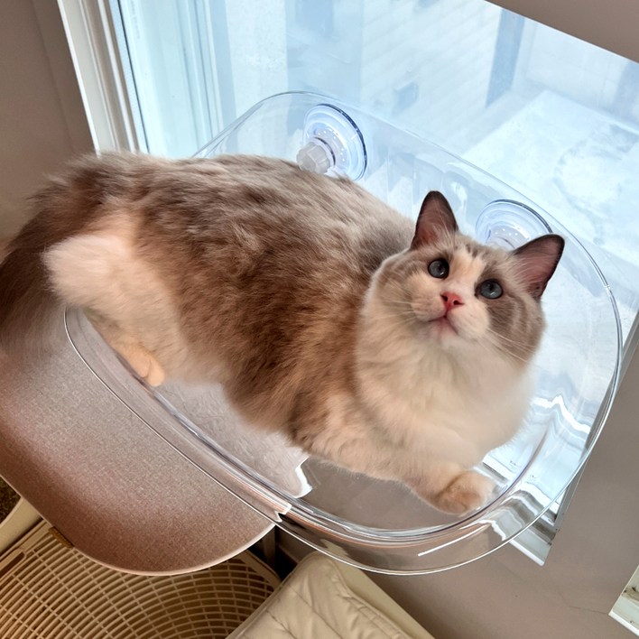 MAAH 고양이 창문 해먹, 화이트, 1개