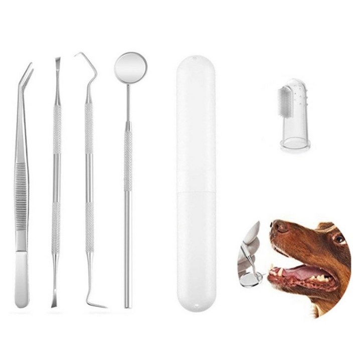 JMC 애견 치석제거기 스케일러 세트실리콘 칫솔케이스