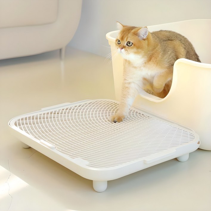 소심한호랑이 고양이 심쿵발판