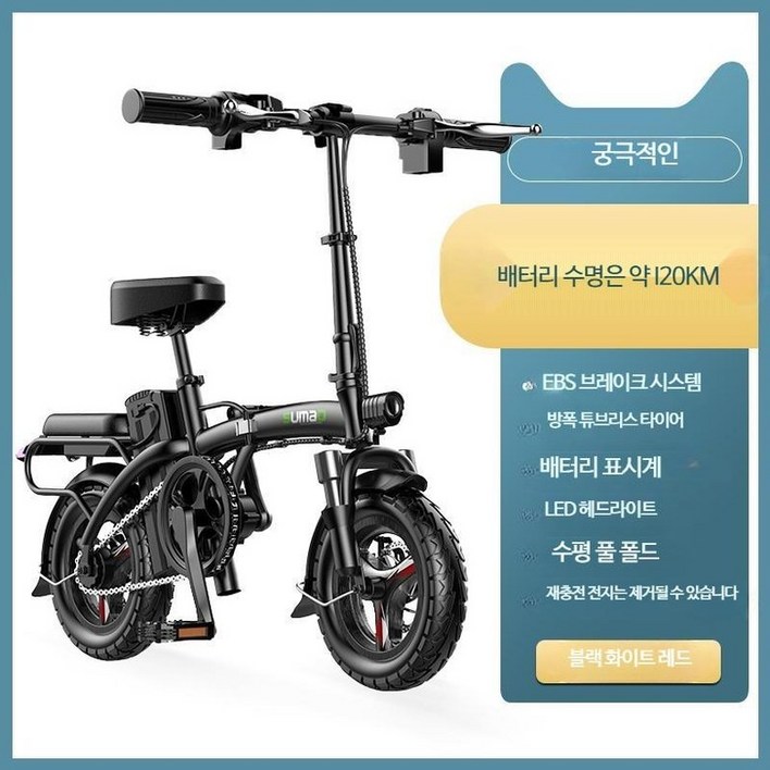 독일 유명 탑 접이식 전기 자동차 소형 운전 전기 자전거 리튬 배터리 초경량 배터리 자동차 스쿠터 자전거