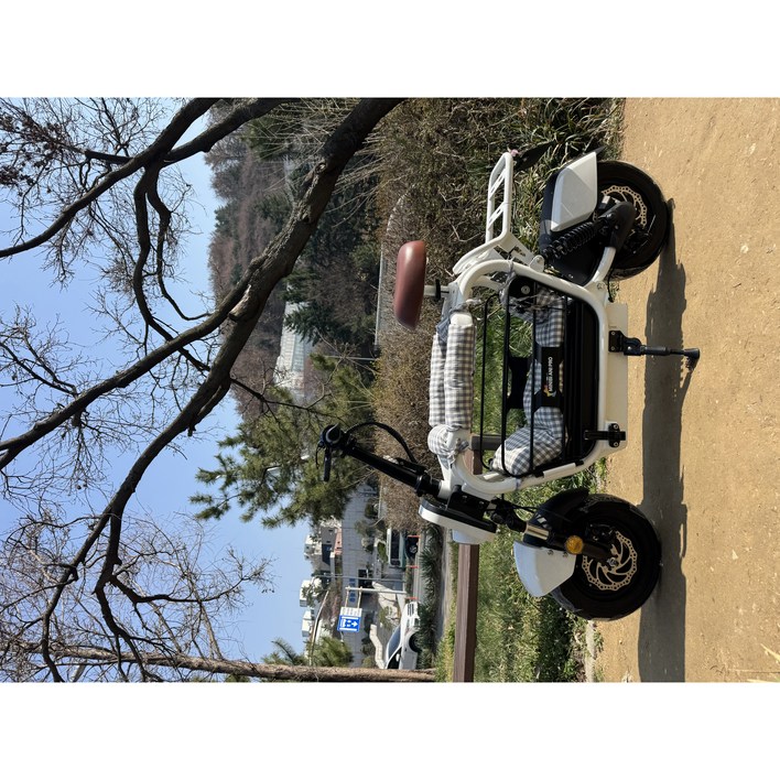 아이휠 미니비 애니 프로 48V 20Ah 반려견 전동스쿠터