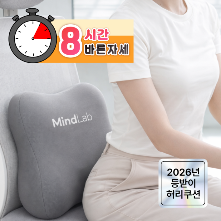 마인드랩 바른자세 사무실 등받이 허리쿠션
