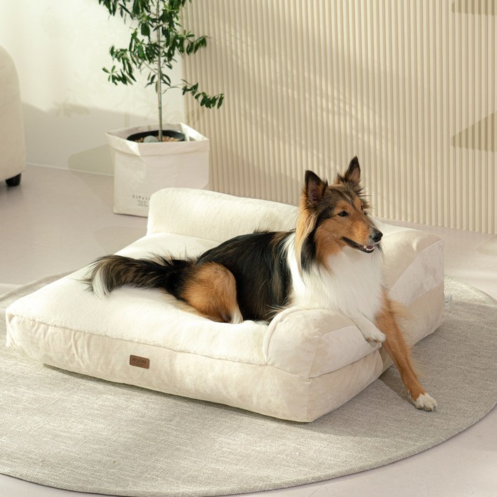 펫테일 강아지 은나노 리저브 방석 쿠션 침대 쇼파, 네추럴 베이지 XL 미니쿠션 2개