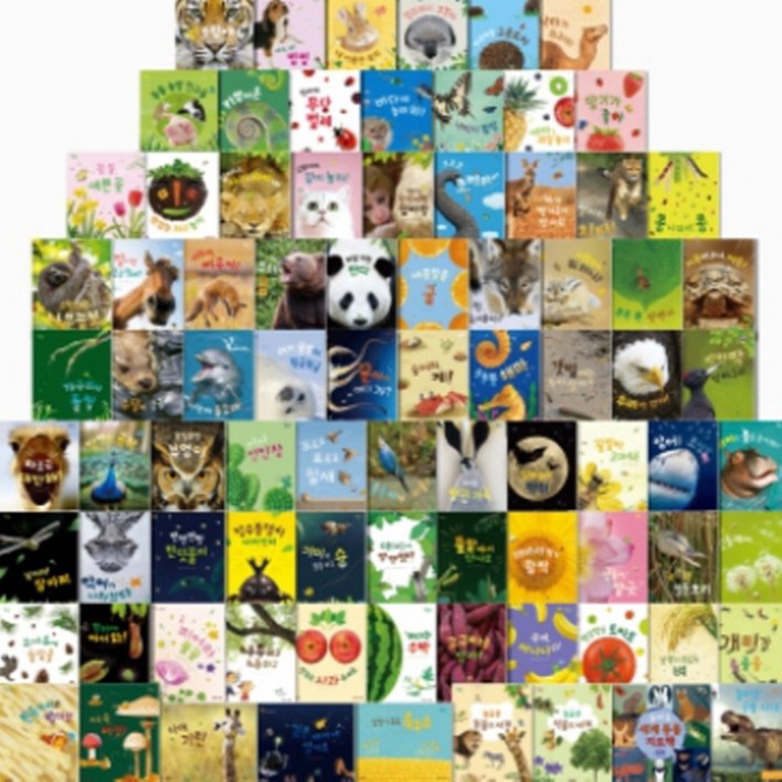 그레이트북스 놀라운자연  최신간새책