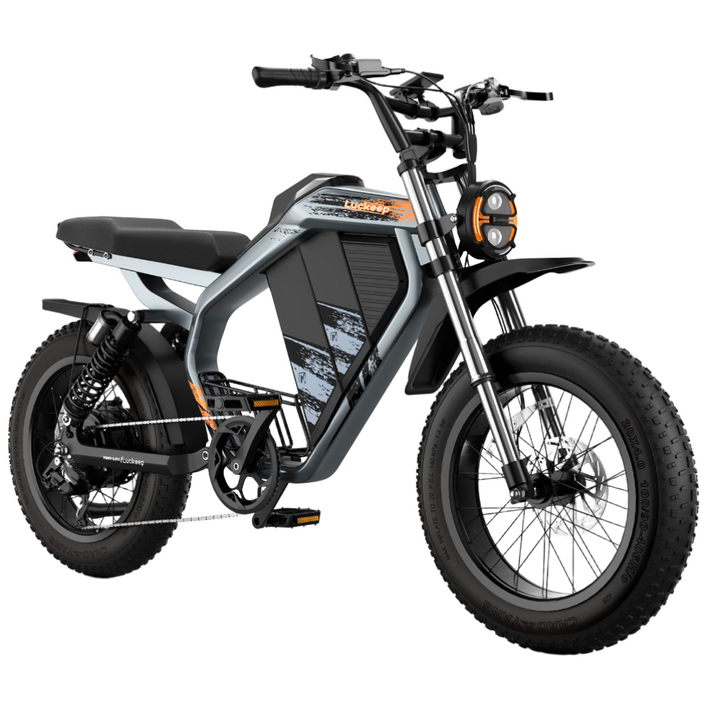 Luckeep 2025 자토바이 삼성배터리 고출력 펫바이크 출퇴근용 M5-Max