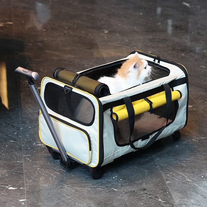 대용량 반려동물 이동식 캐리어 탈부착 애완 동물 백팩 신축식 타이로드, 노란색, 1개