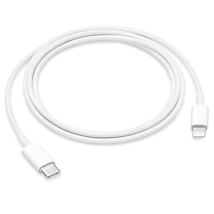 Apple 정품 Lightning-C타입 충전 케이블