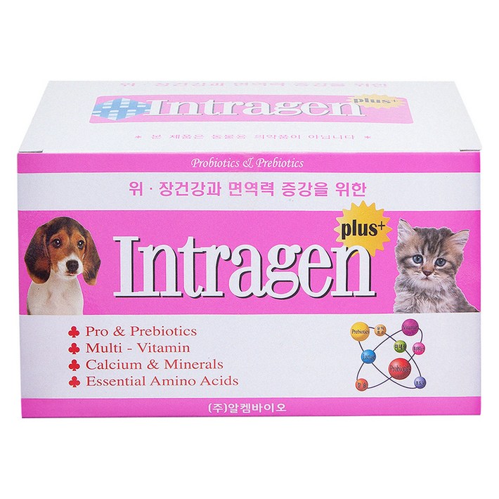 인트라젠 반려동물 플러스 영양제