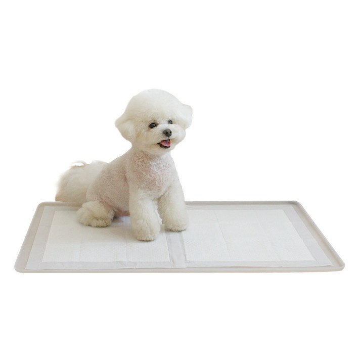 초코펫하우스 퍼펙트 토일렛 강아지 배변판 2.0, 단일색상, 1개