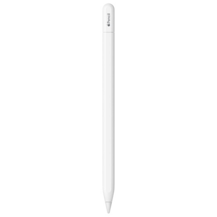 Apple 애플펜슬 USBC MUWA3KHA, 1개