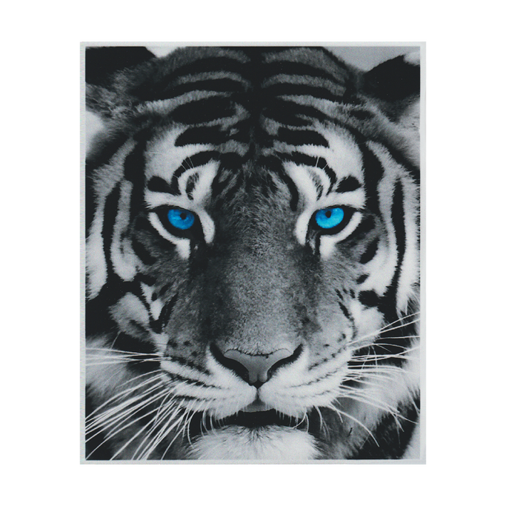 삼항LED 카라 이글 스티커 외 5종 차량 데칼 스티커화물차 트럭 오토바이 스티커, 1개, 파란눈호랑이 대형