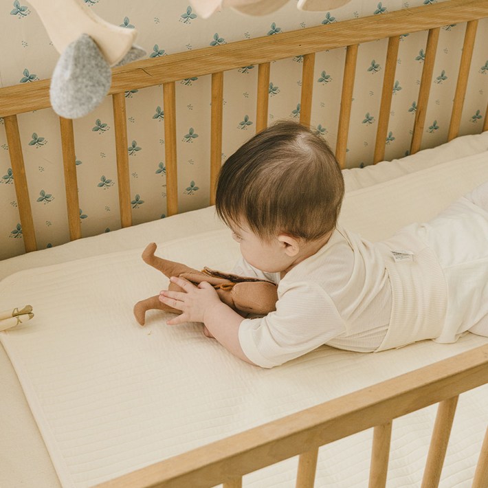 말랑하니 아기방수패드 방수요, 바닐라밀크, 1개