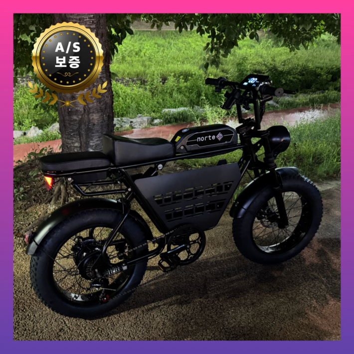 노르테 전기 자전거 자토바이 전동 스쿠터 팻바이크 MTB 배달용 출퇴근용, S1 럭셔리, 스틸