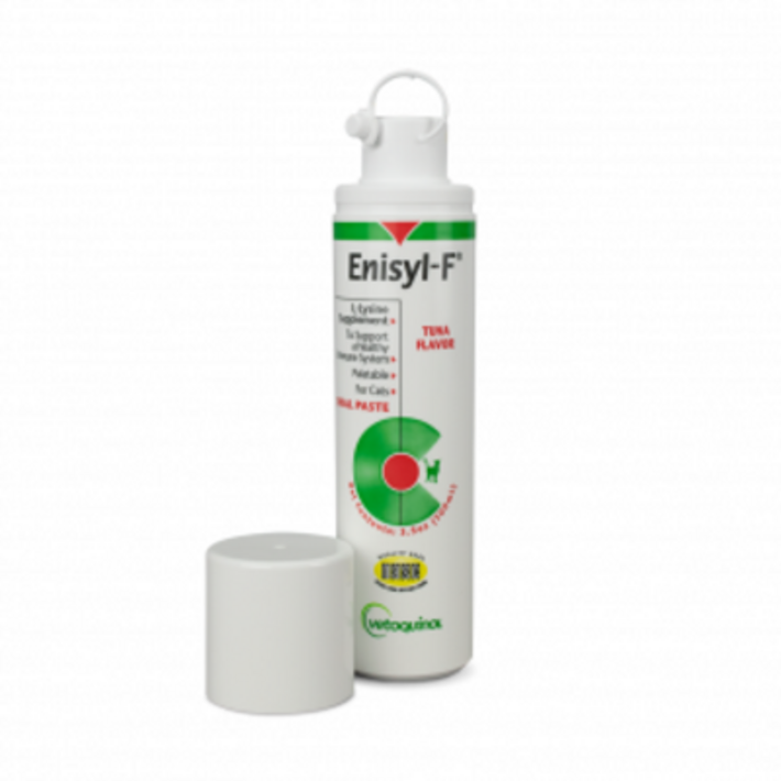 베토퀴놀 애니실 F 엘라이신 고양이 영양제 100ml