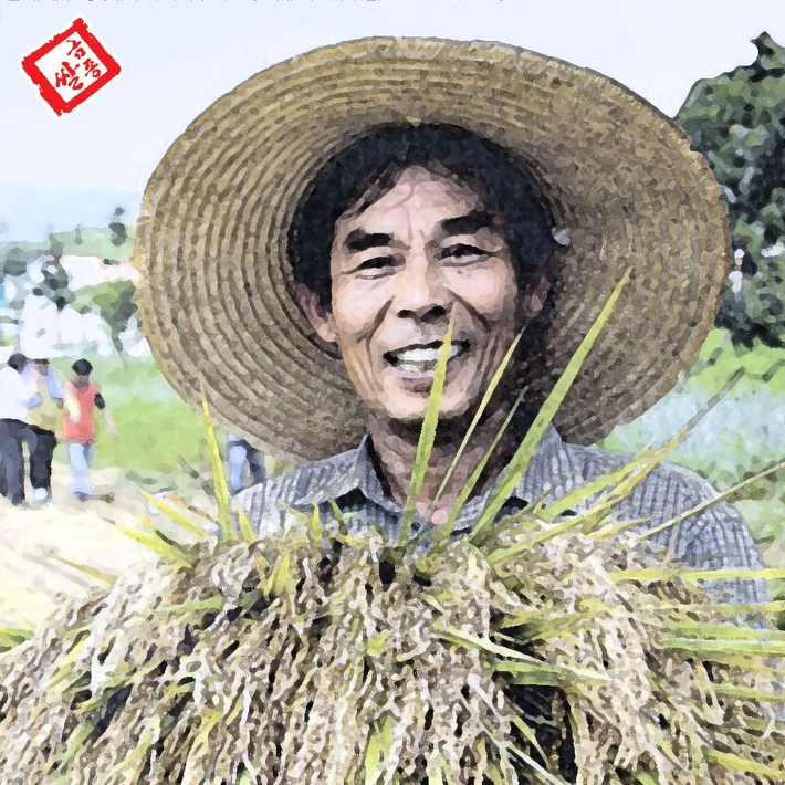 금종쌀 친환경 고시히카리 당일도정 쌀눈 저온저장 백미 5kg, 10kg, 상등급, 1개, 5kg