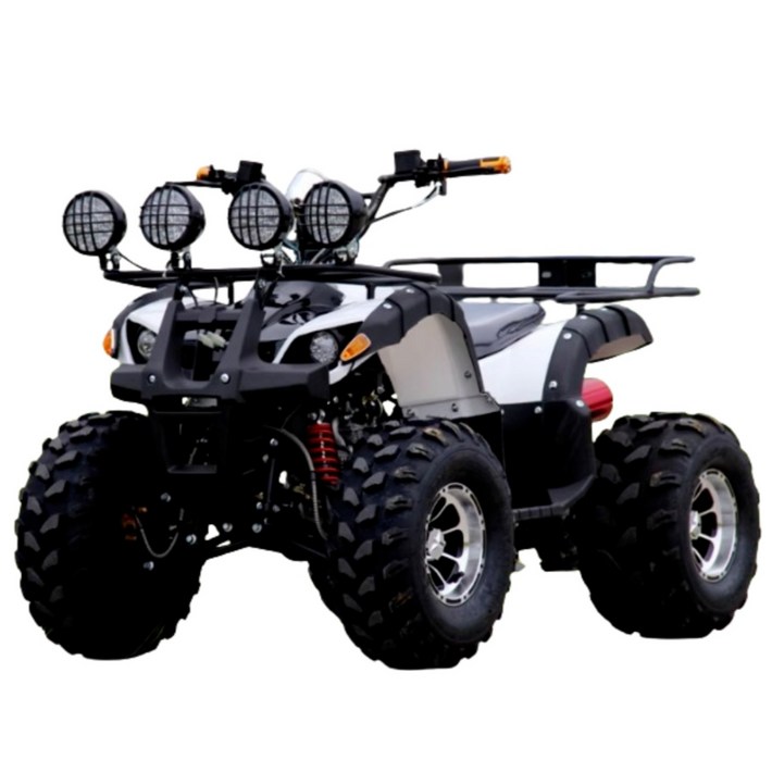 파워트랙 250cc 고출력 ATV 사발이 버기카 산악 오토바이 농장 과수원 시골 귀농