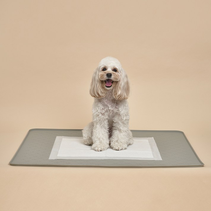 도그아이 SUPERPET 반려동물 논슬립 실리콘 배변매트