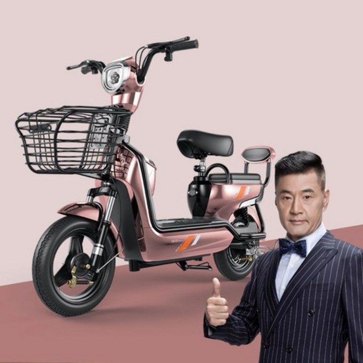 창흥 DGJS 성인 전동차 전동 스쿠터 2인승 여성 조력 레저대보차 전기자전거