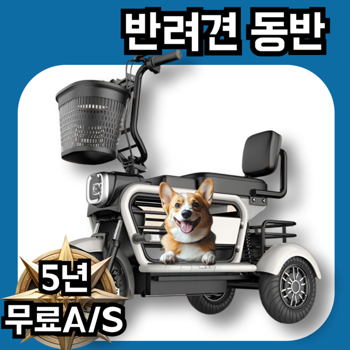 RideMax 애견동반 세발전기자전거 자녀 전동 자토바이 출퇴근 성인 스쿠터, 오렌지, 스틸 RideMax 애견동반 세발전기자전거 자녀 전동 자토바이 출퇴근 성인 스쿠터, 오렌지, 스틸