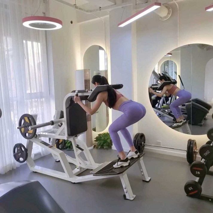 스쿼트 머신 브이 핵스쿼트 헬스장 피티샵 개인레슨