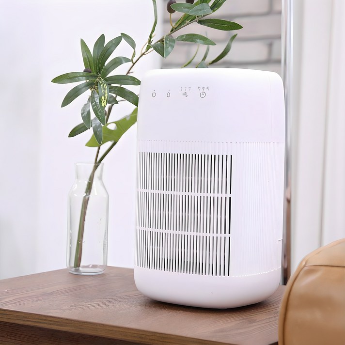 이놀 2 in 1 원룸형 저소음 미니 소형 제습기 공기청정기 1L, 화이트로즈골드 LX700