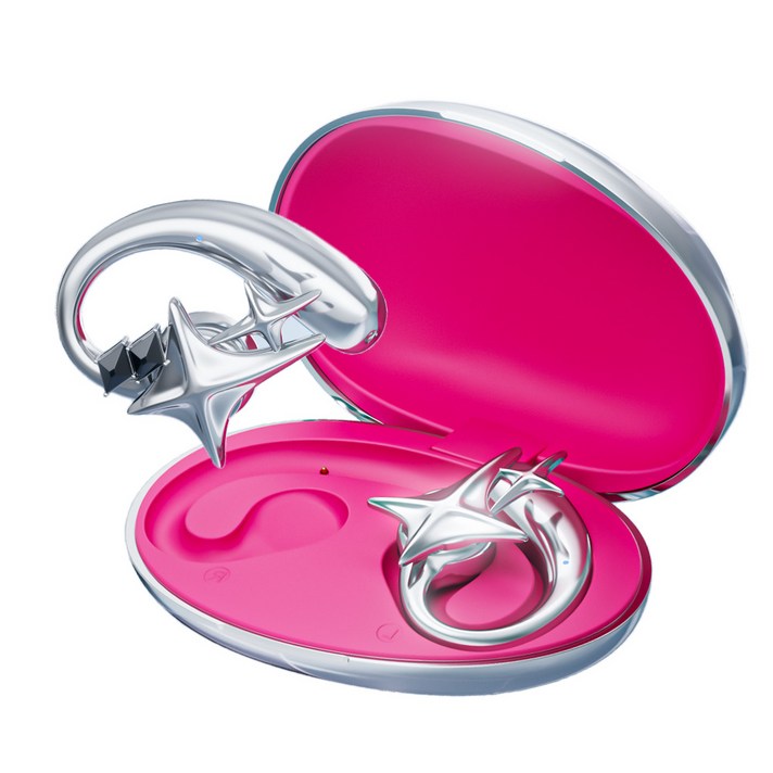 ERDU 블루투스 이어폰 귀걸이형 고음질 C타입 노이즈캔슬링 방수 오픈형, 은색, ERDU001