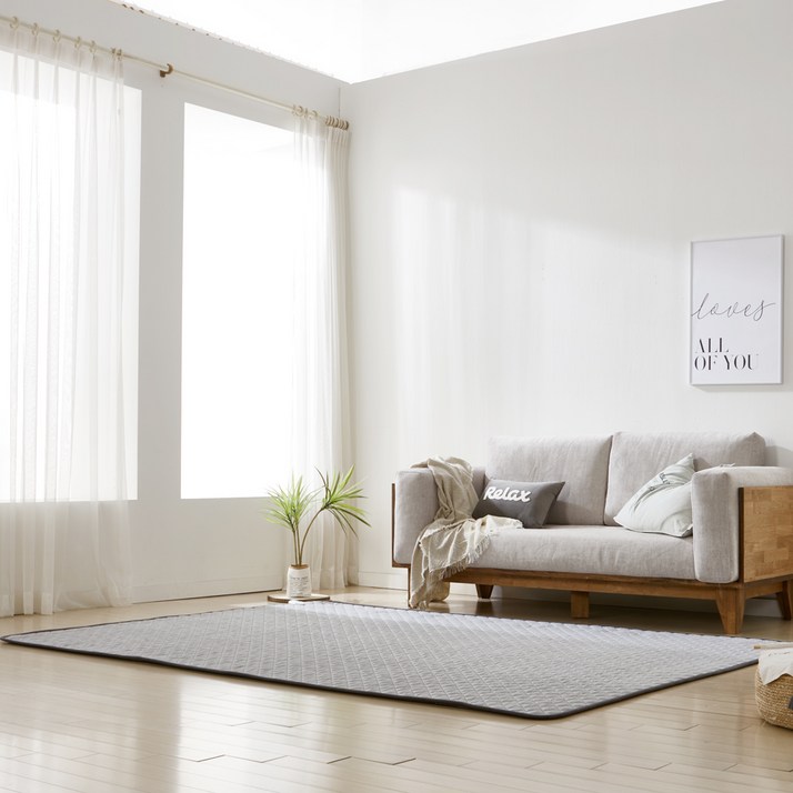 더안 EMF 탄소매트 전기요 JJ2022, 200 x 300cm