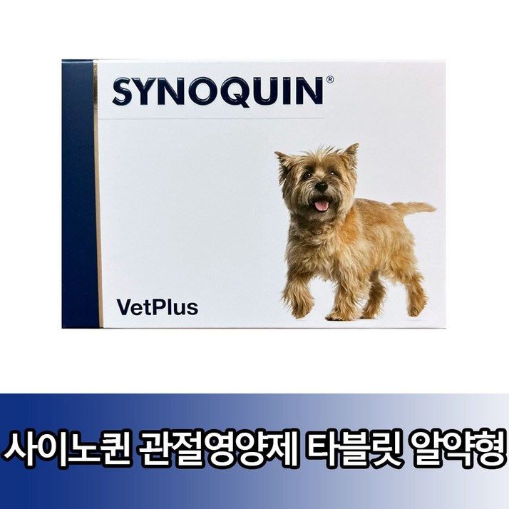 뱃플러스 사이노퀸 소형견 관절영양제