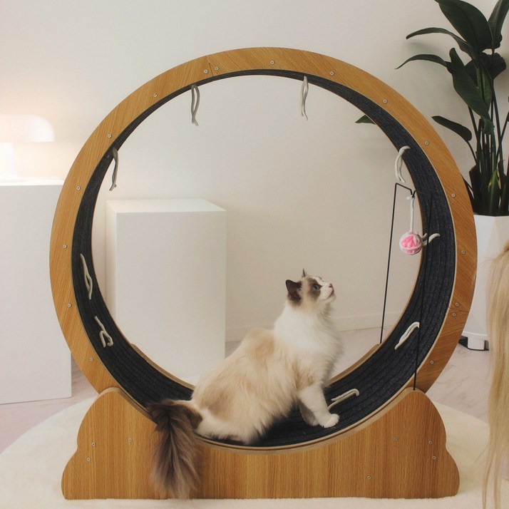 냥핏 무소음 캣휠 입문용 장난감 스탠드 거치대 포함