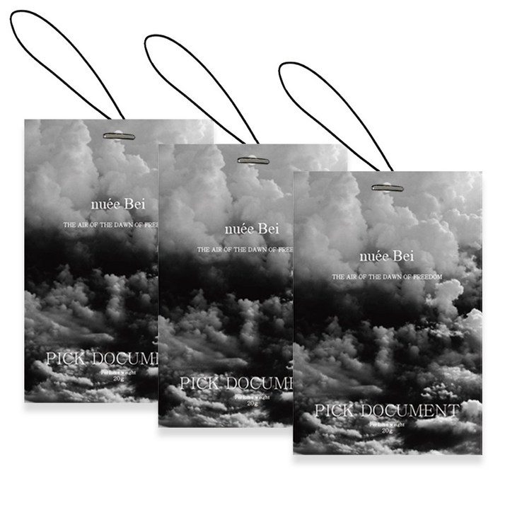  111  픽도큐먼트 퍼퓸 에어 샤쉐 차량용 방향제 3p, 1세트, 니아쥬 베이, 2세트