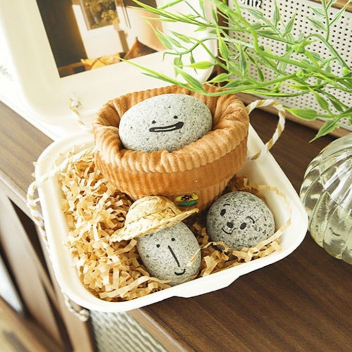 반려돌 애완돌 펫스톤 펫 돌 키우기 쓸모없는 쓸데없는 선물