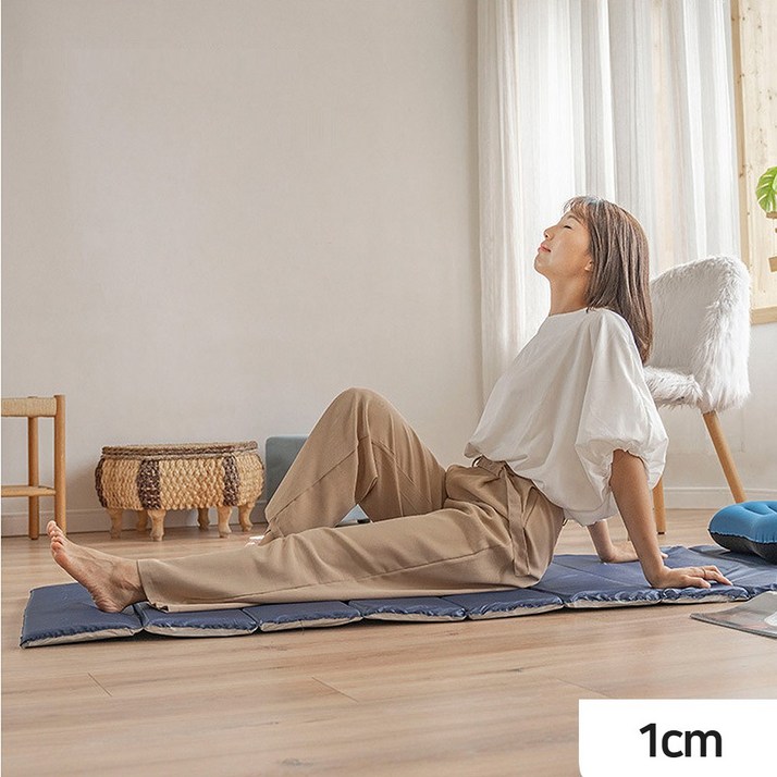 로아딕 푹신한 폴딩매트 캠핑 야외 피크닉 간편한 사용 보관가방 증정, 브라운