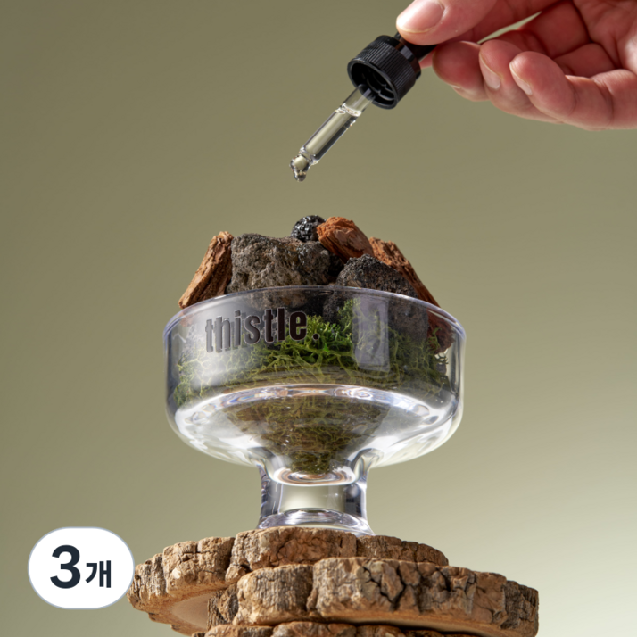 스톤 화산석 실내 디퓨져 인테리어 디자인 오브제 아로마 오일 방향재 선물세트 탈취재 화장실 거실