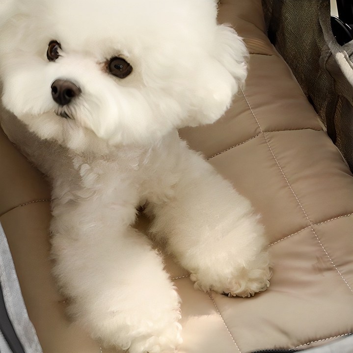 아망떼 알러지케어 다용도 방석 강아지용품