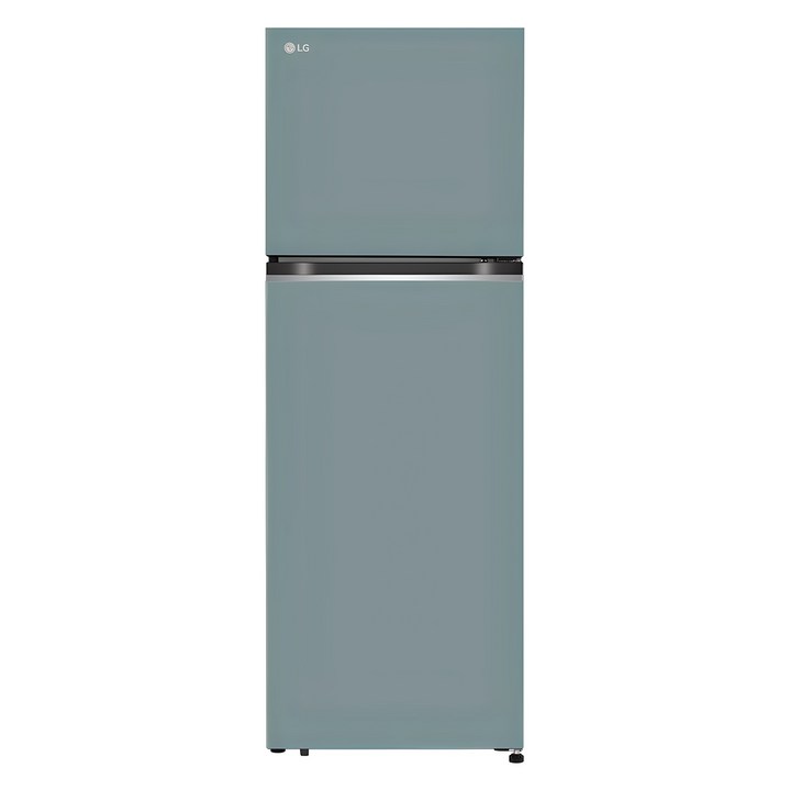 [색상선택형] LG전자 오브제 335L 2도어 냉장고 메탈 방문설치