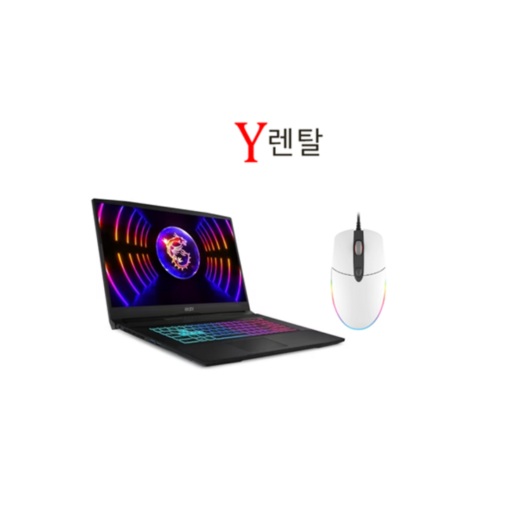 게이밍노트북 17인치 RTX3060 렌탈 단기 대여 렌트 그래픽작업 게임