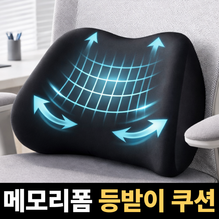 라인오브 메모리폼 허리 등받이 쿠션