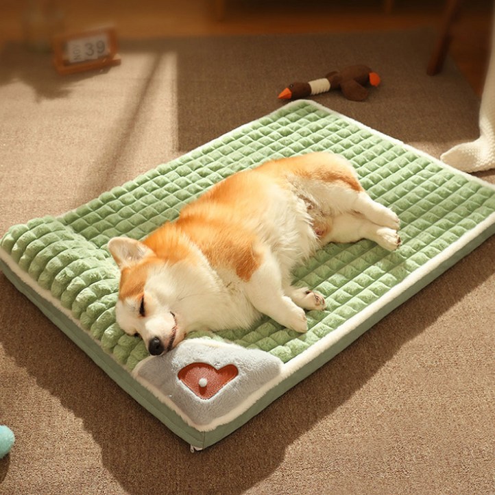 템머스 푹신 푹신 메모리폼 강아지방석, 그린, 1개