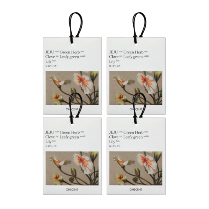 31 오센트 퍼퓸 샤쉐 6종 4입, 룸 차량 옷장 화장실 방향제 공간을 담은 향기