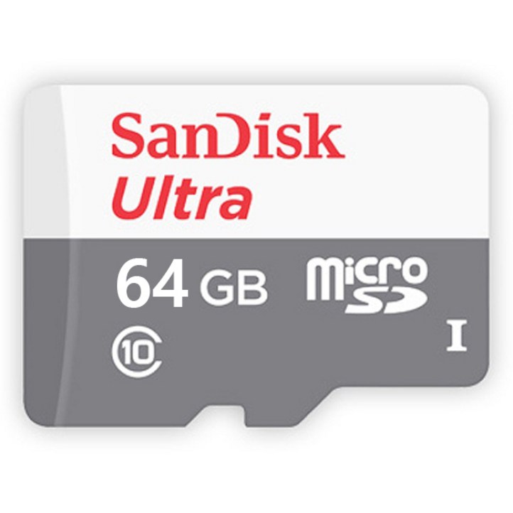 SANDISK SD 메모리 카드 64GB EZVIZ C2C,C6T 호환가능 제품, 64GB