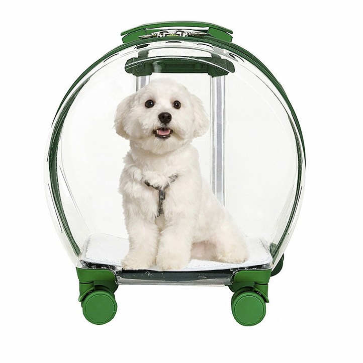 Garrl 신상 고양이 투명 캐리어 휴대식 캣백 멀티 펫 에어 박스 강아지 외출 가방 반려동물 퍼프 박스