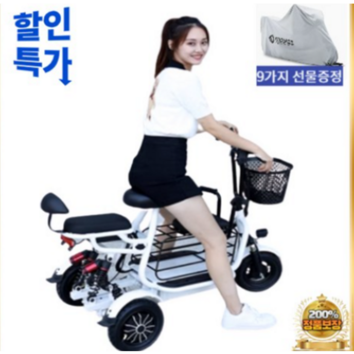 세발 전기자전거 가성비 삼륜 노인 전동 성인용 배달용